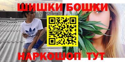 мдпв Славгород