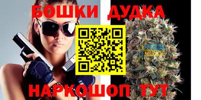 мдпв Славгород