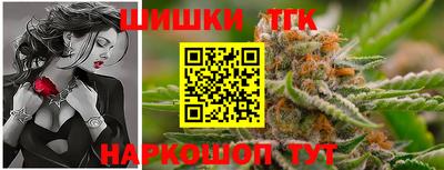 мдпв Славгород