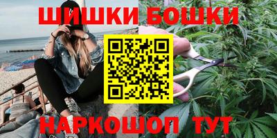 мдпв Славгород