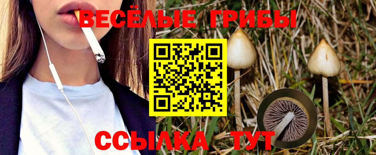 Галлюциногенные грибы прущие грибы  где продают   Нарткала  Вход с VPN 